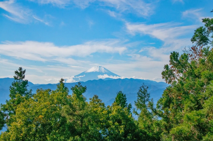 景信山 登山