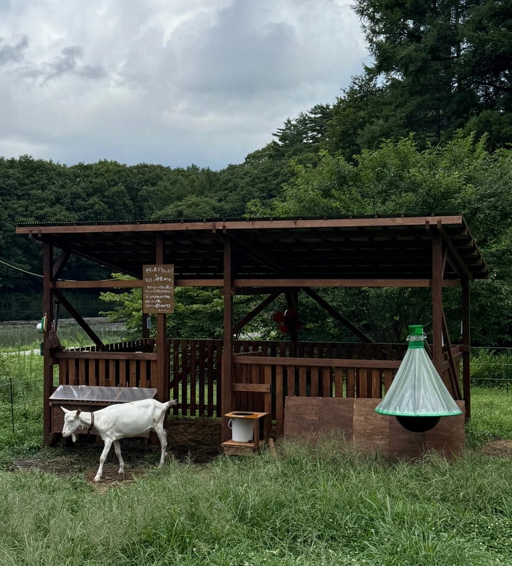 ととのう 東原妙子 サウナ Earthboat 黒姫 ヤギ グランピング