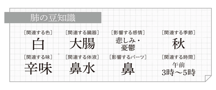 肺の豆知識