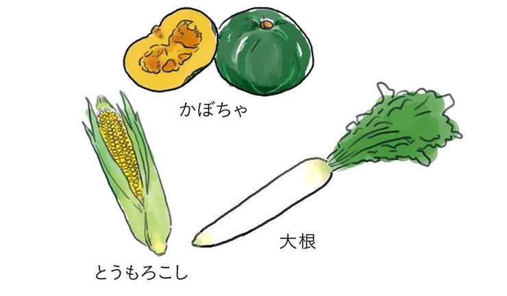 脾を活かす食材