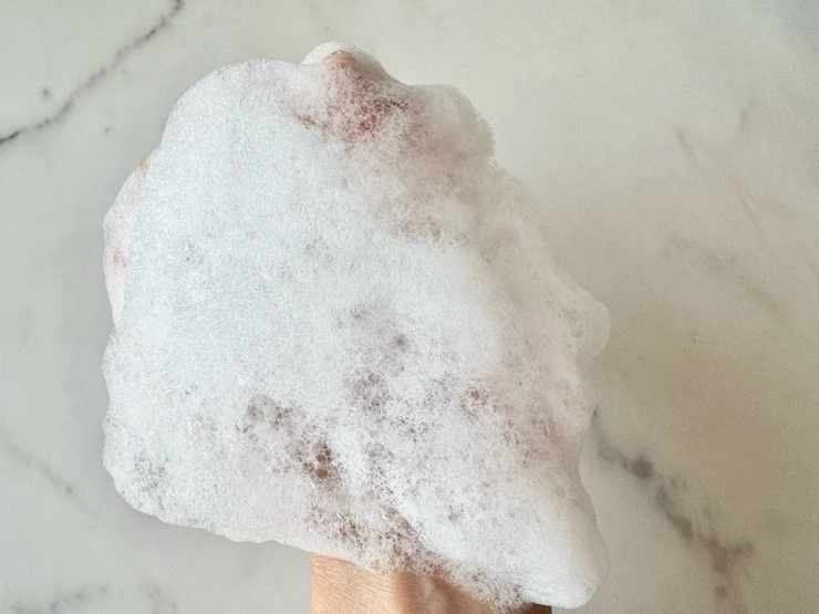 ワキのニオイケア ワキのニオイケア テサラン 薬用プレミアムボディソープ 4