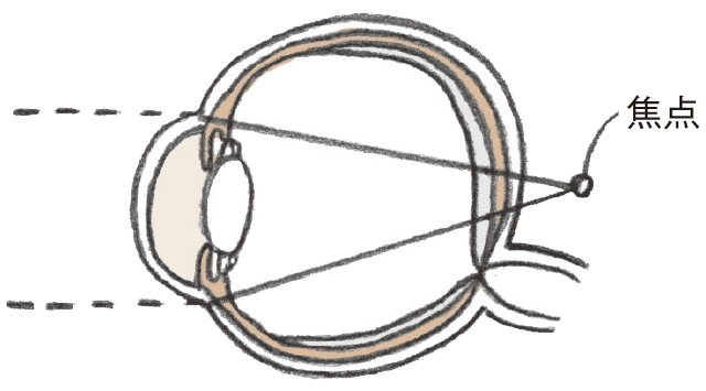 老眼の目