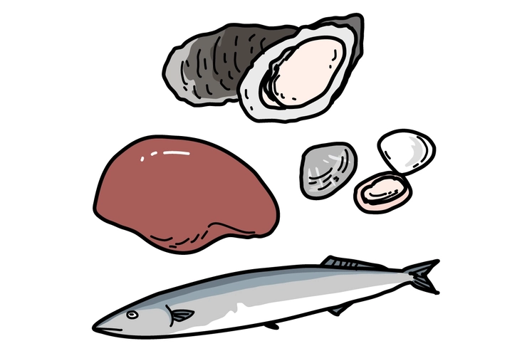 鉄やタンパク、ビタミンB群豊富な食材