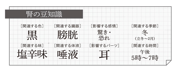 腎の豆知識