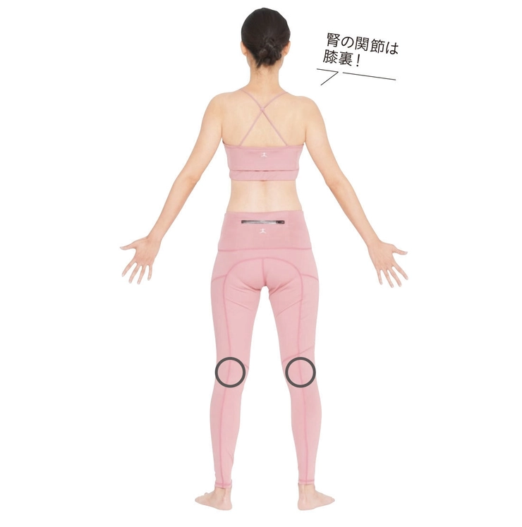 腎を活かす関節たたき