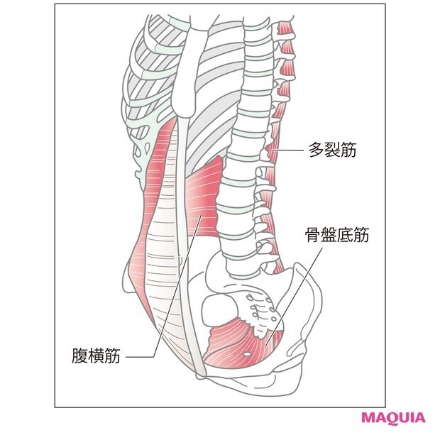 骨盤底筋