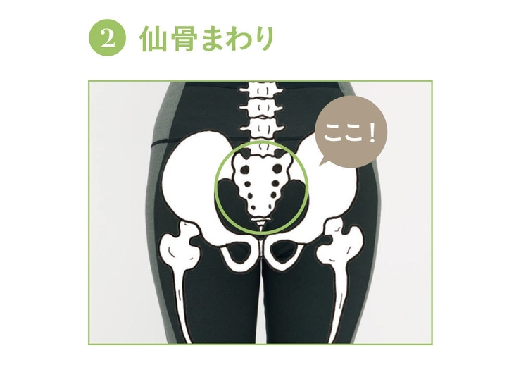 仙骨まわり