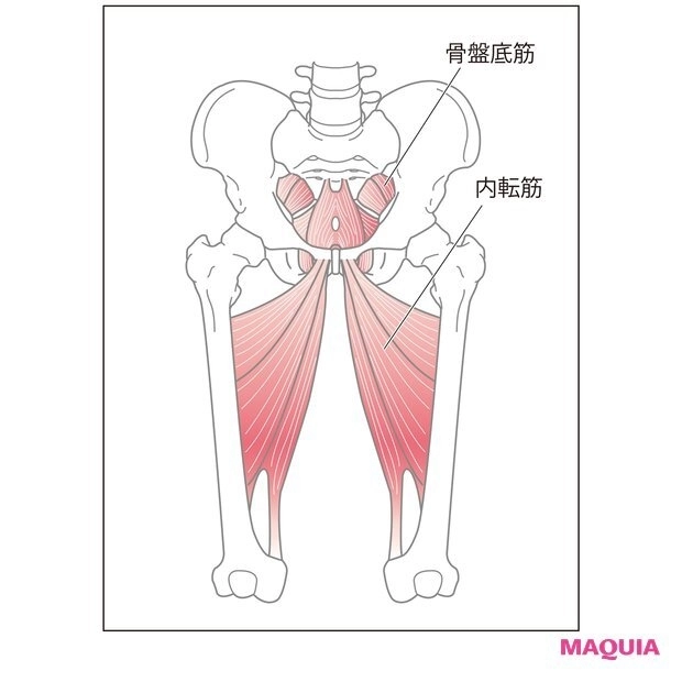 内転筋と骨盤底筋