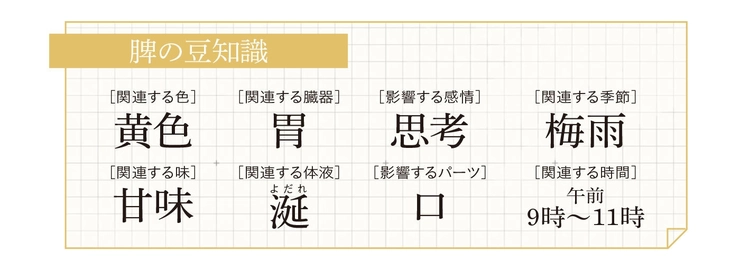 脾の豆知識