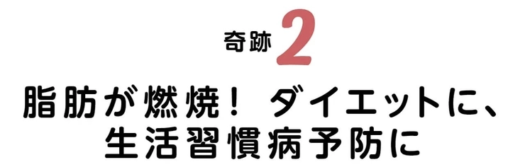 18時間断食の奇跡2
