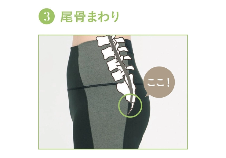 尾骨まわり