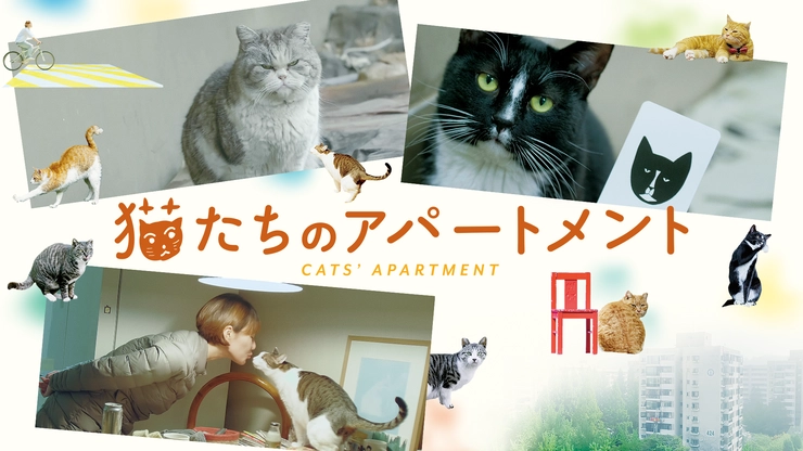 猫たちのアパートメント　映画　韓国　猫　レビュー
