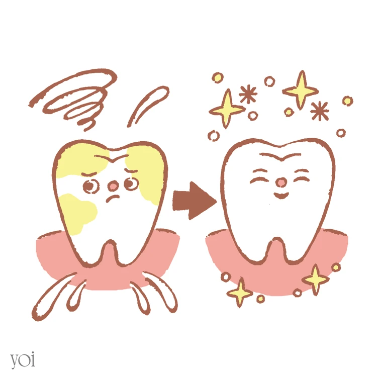 石井さとこ ホワイトニング おすすめ