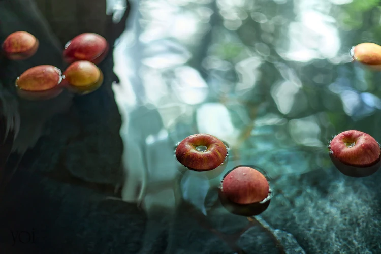 ひとリート KAZUKI 中棚荘 リトリート おひとり様旅　5