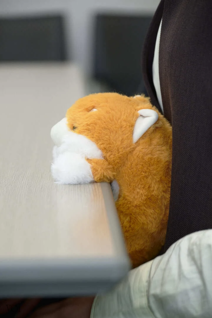 ふんばるず　ぬいぐるみ　姿勢矯正　使い方