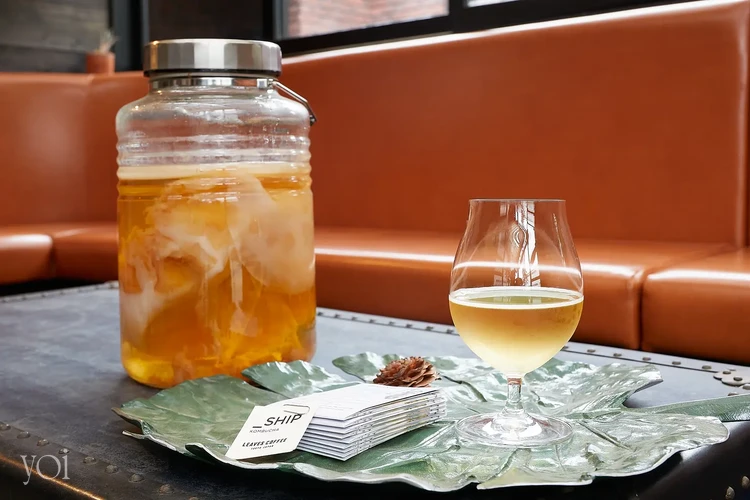 発酵飲料コンブチャってなに？