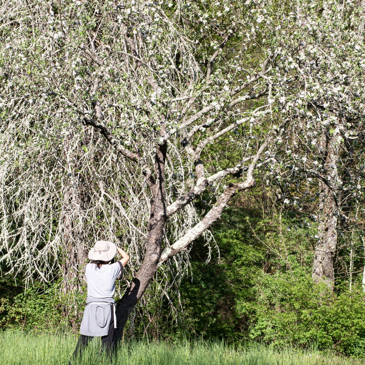 写真を撮る、吉川さんのパートナー