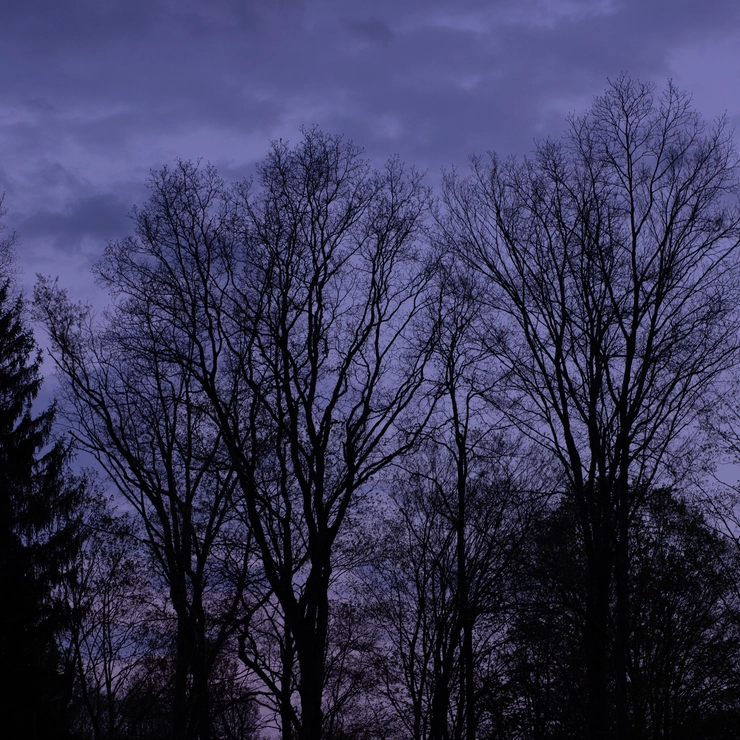 吉川康雄　世界はキレイでできている　暗い青の空