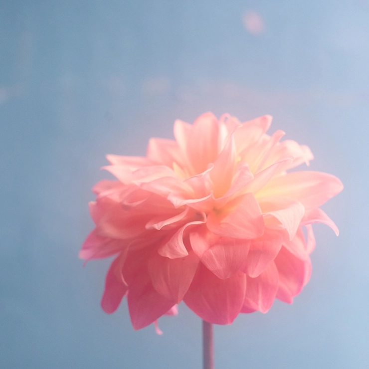 “ラブランゲージ”で産後のセックスレスに向き合う【シオリーヌのSAY(性)HELLO!】_3_1