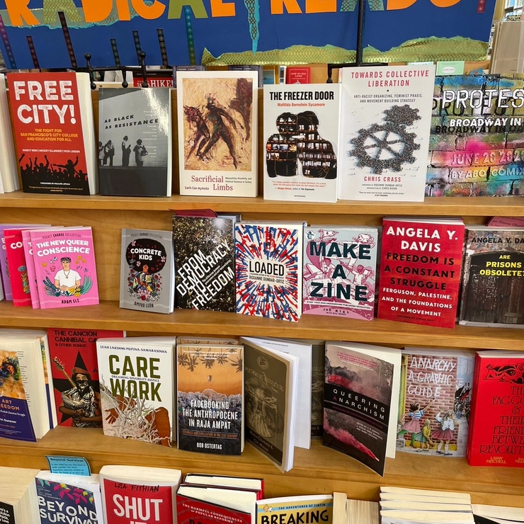 竹田ダニエル　アメリカ　生活　誰　大学生　