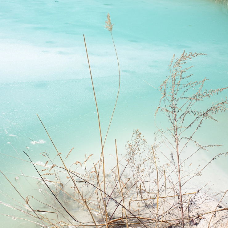 古いセメント工場で見つけた排水の水たまり