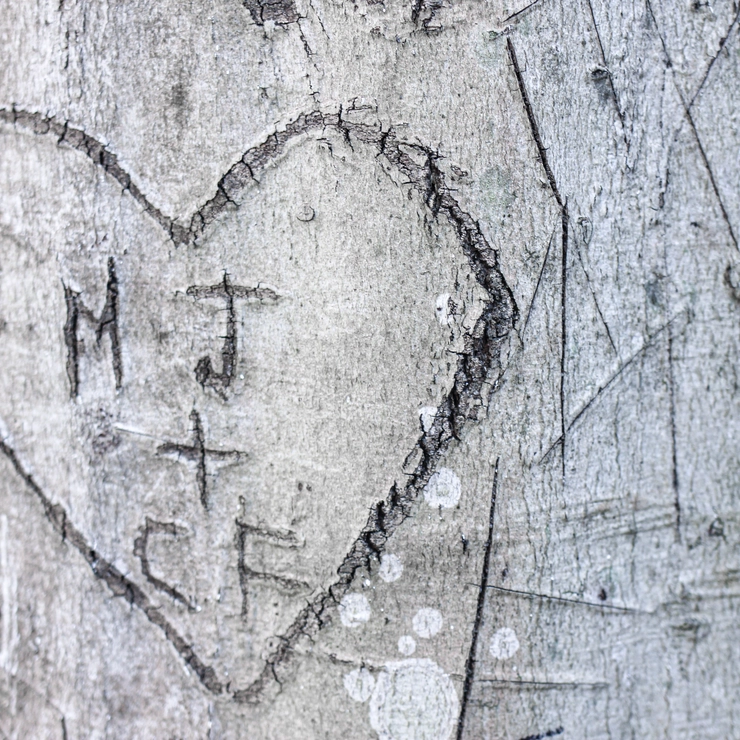 木に刻まれた文字