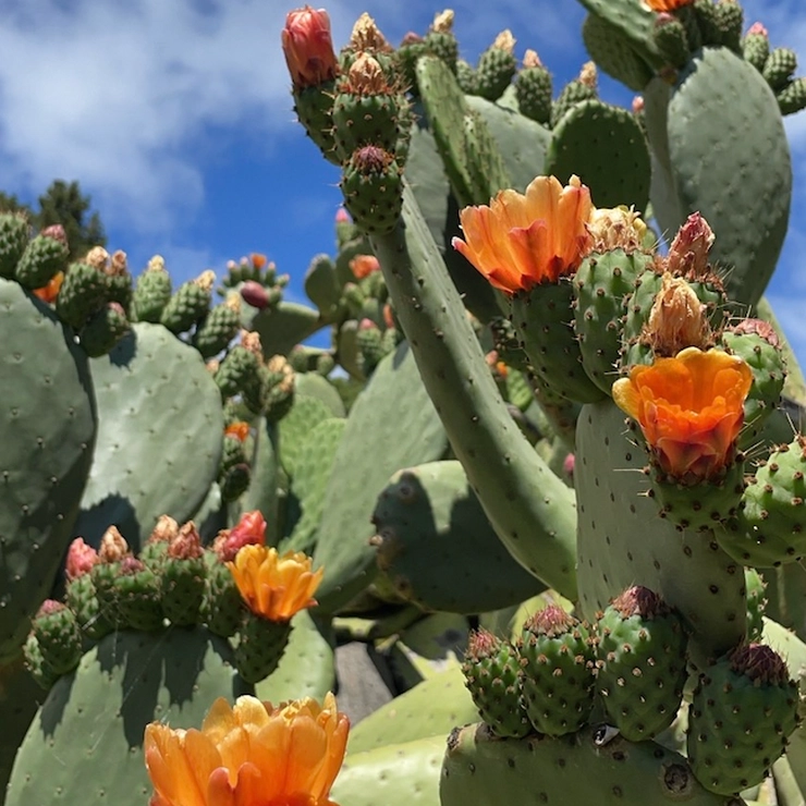 竹田ダニエル 連載 アメリカ 人間関係 Z世代 メンタルヘルス セラピー