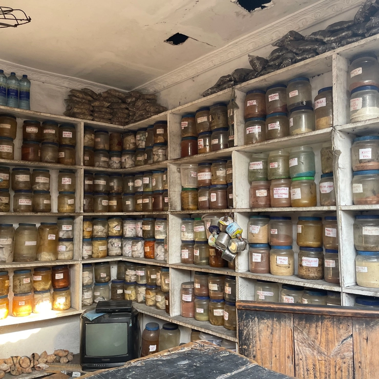 タンザニア　生理　自然薬